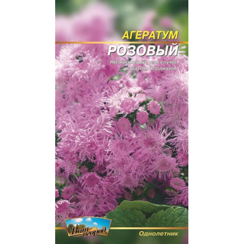 Агератум рожевий — насіння, Квіти