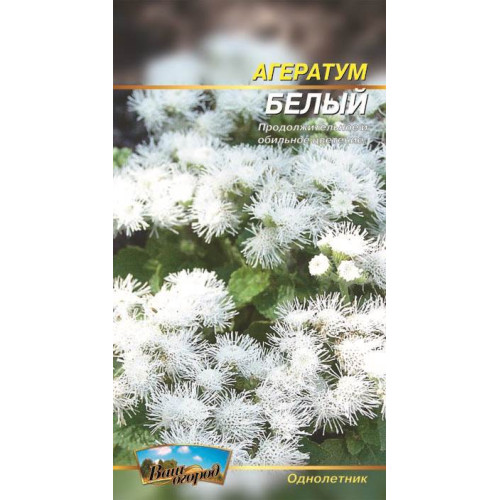Агератум. Білий — насіння, Квіти