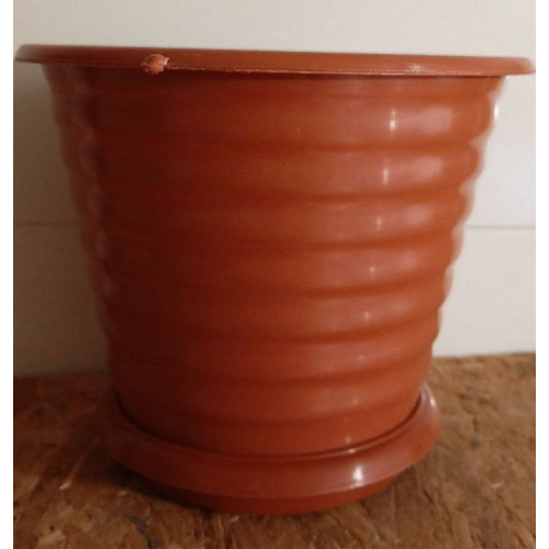 Горщик для квітів 1.7л — насіння, Супутні товари