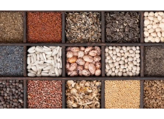 Чому наше насіння